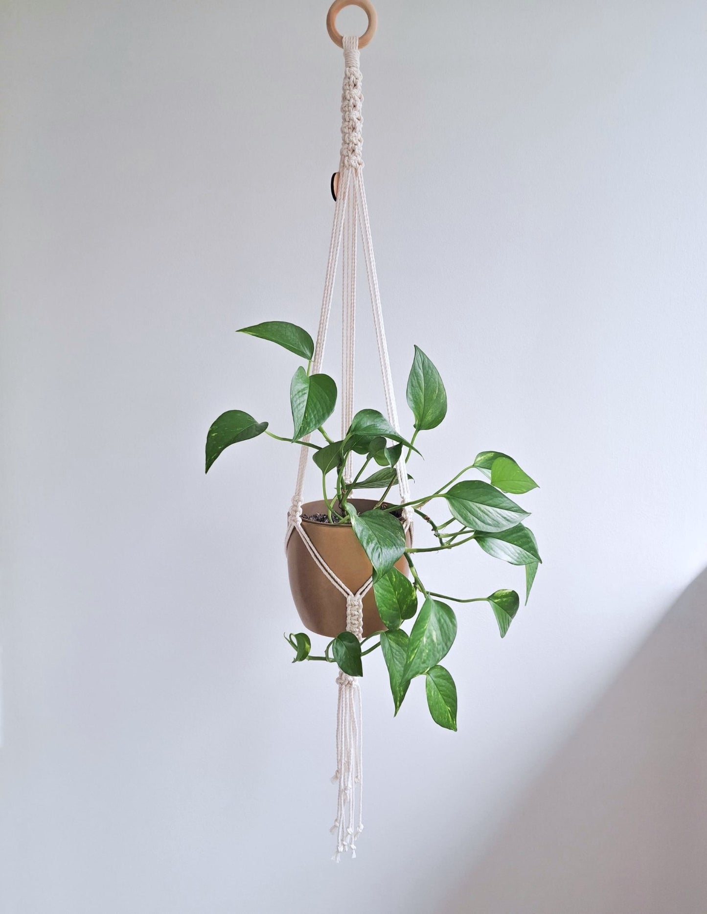 Mitu Makrame DIY Kit (Plant Hangers) for beginners