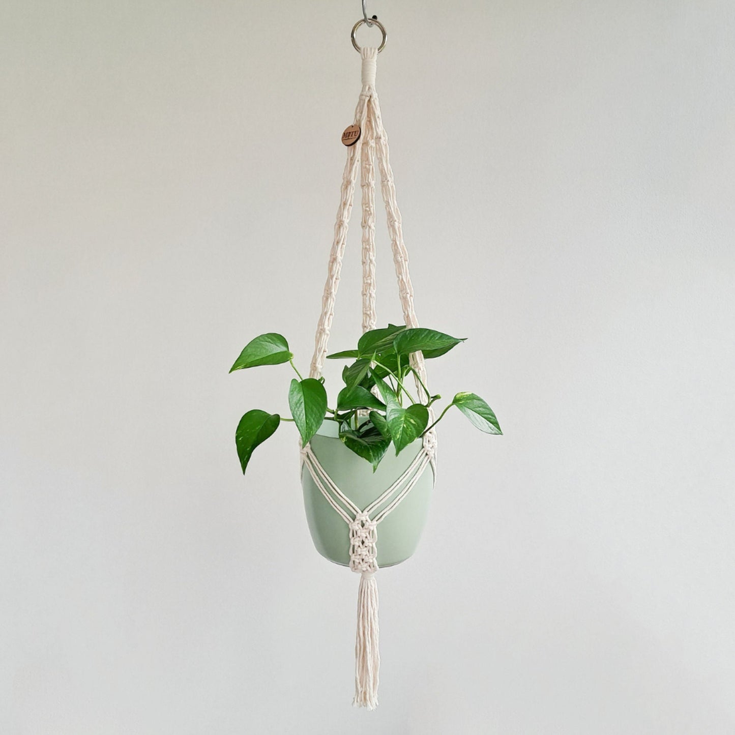 Orpha Plant Holder