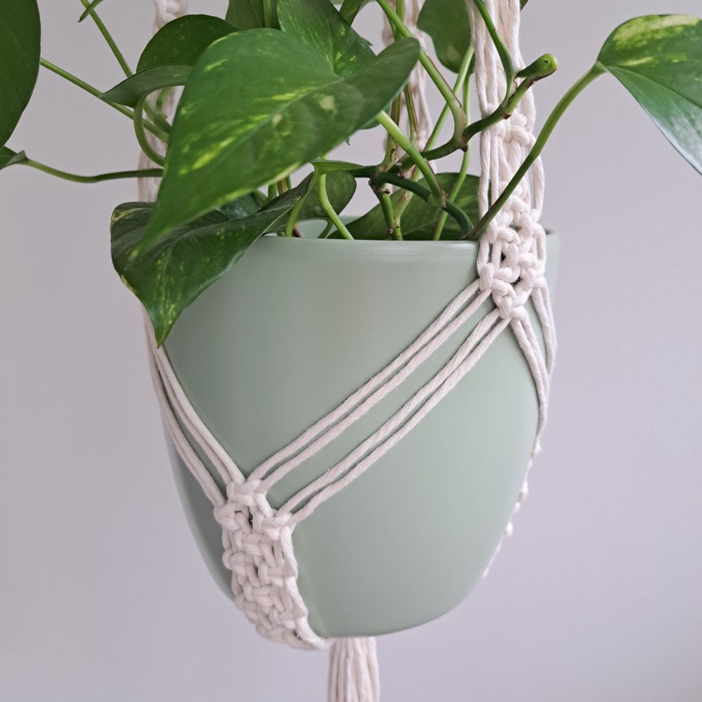 Macrame plant holder rich design