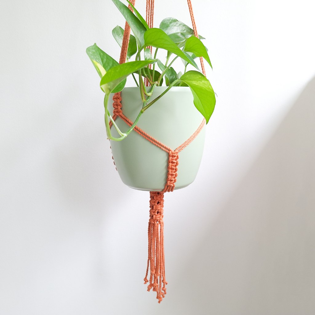 Macrame plant hanger desing